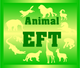 EFT For Animals - What Is EFT For Animals? EFT For Animals - What Is EFT For Animals?